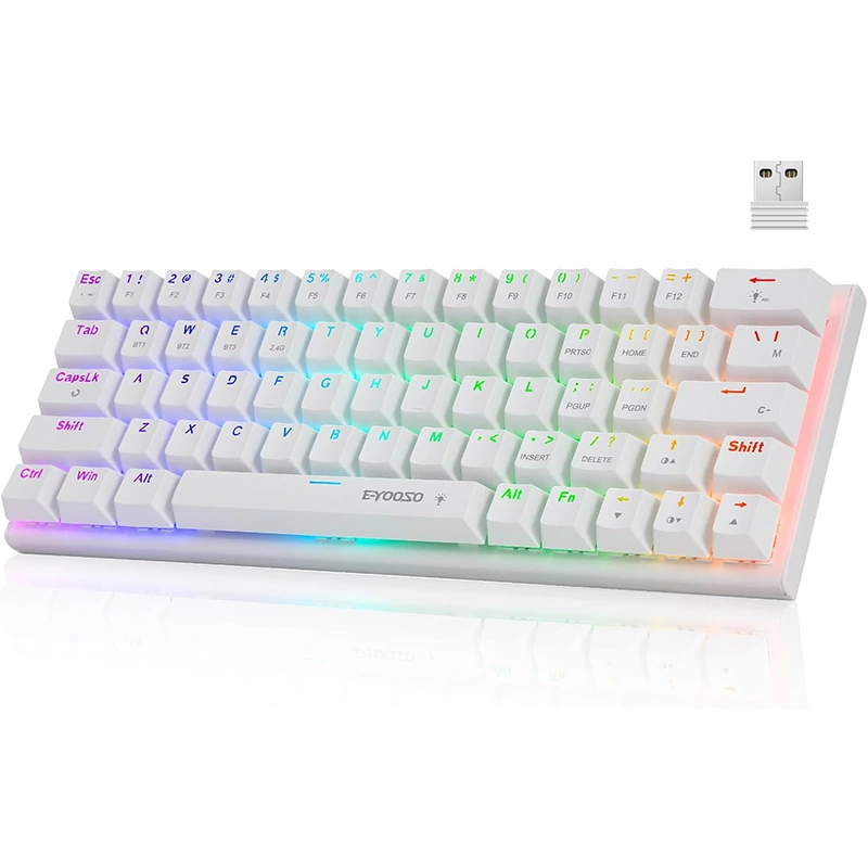 Tastiera da gioco meccanica wireless BT 2,4GHz tipo C con 63 tasti RGB